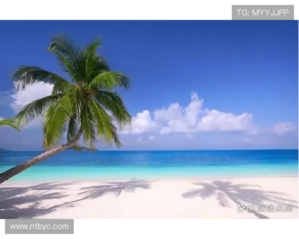 剧海泛舟：今夜，我们如何选择下一部心动？